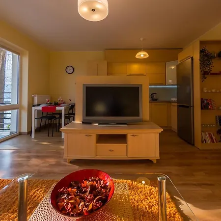 Apartment Komfortowy W Centrum Ustronia *